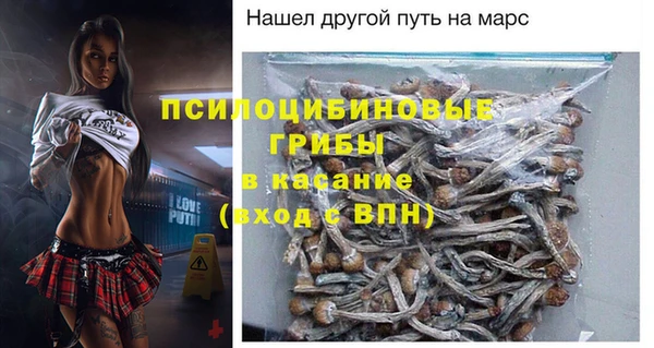 амф Переславль-Залесский