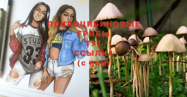 прущий лед Пестово