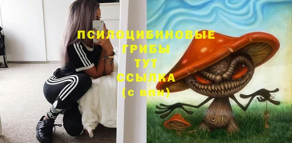 прущий лед Пестово