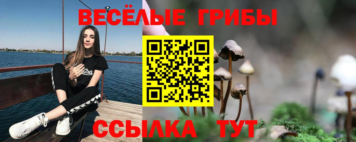 даркнет сайт  Вязьма  Галлюциногенные грибы Cubensis  Галлюциногенные грибы GOLDEN TEACHER 
