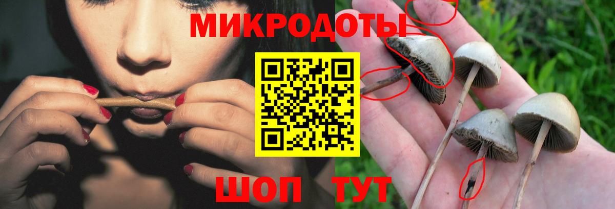 Вязьма  хочу наркоту  Псилоцибиновые грибы Psilocybe  Вход с VPN  Галлюциногенные грибы мицелий 